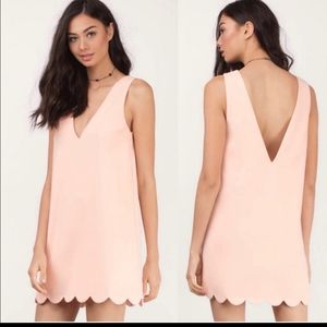 Tobi Size M Wonder Why Blush Deep V Neckline Shift Dress.